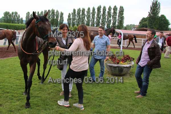 IMG 0375 prot